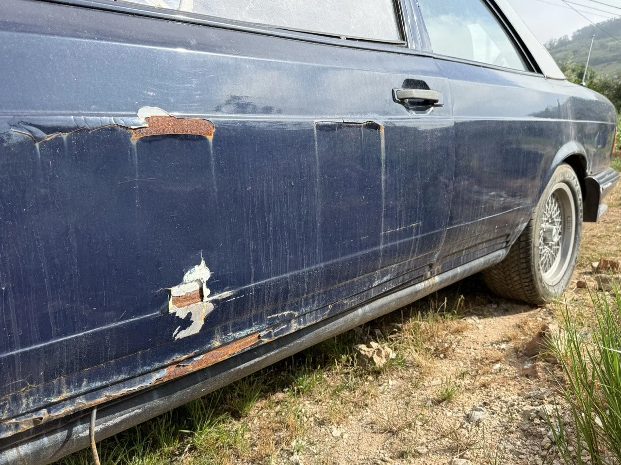 IMG_3411 – grande.jpeg