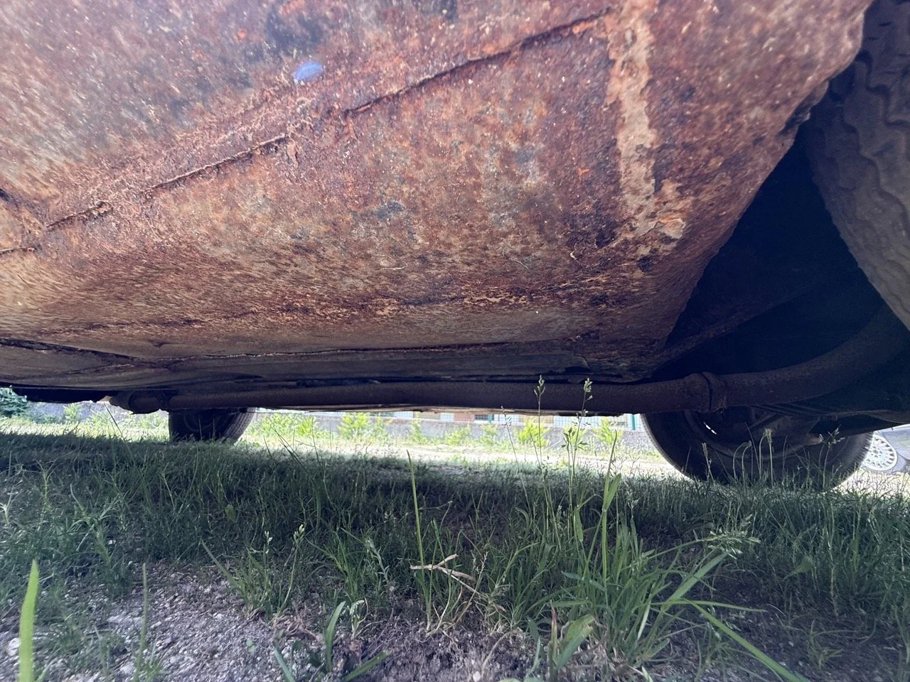 IMG_1414 – grande.jpeg