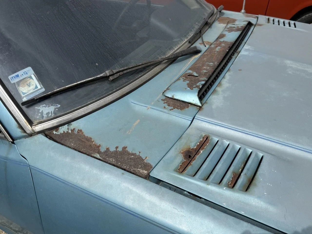 IMG_1555 – grande.jpeg