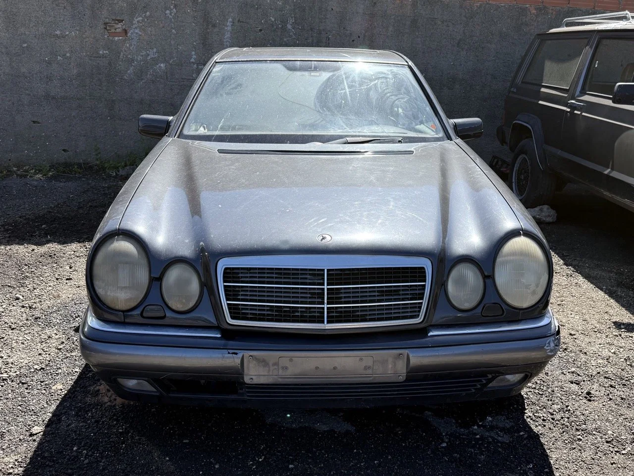 IMG_1726 – grande.jpeg