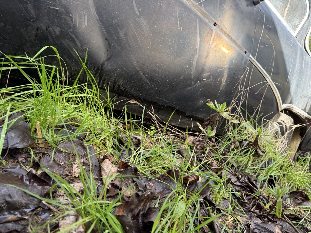 IMG_5069 – grande.jpeg