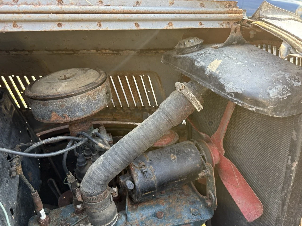 IMG_3700 – grande.jpeg