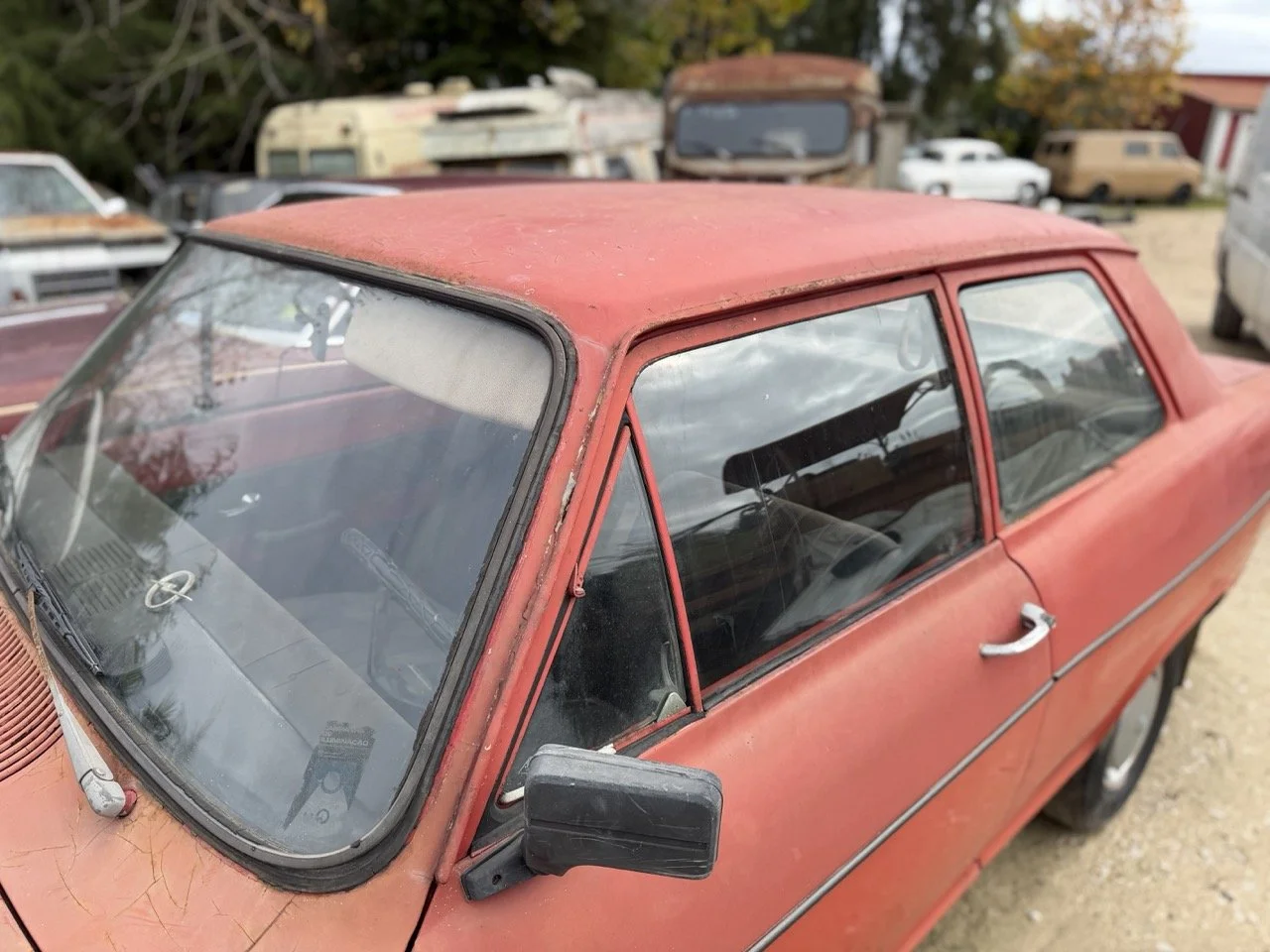 IMG_4961 – grande.jpeg