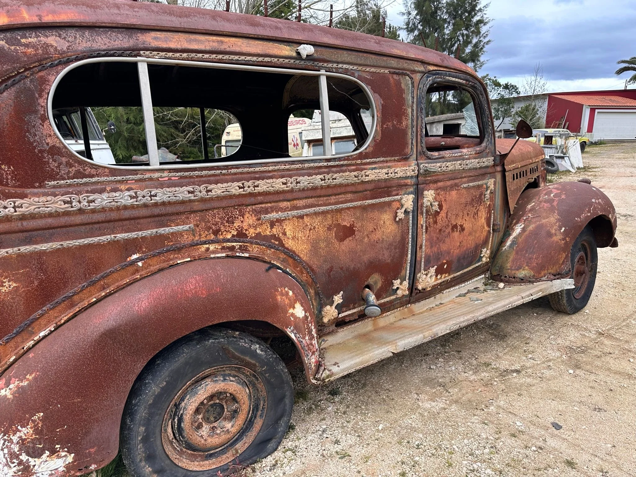 PHOTO-2026-03-05-20-04-38 2.jpg