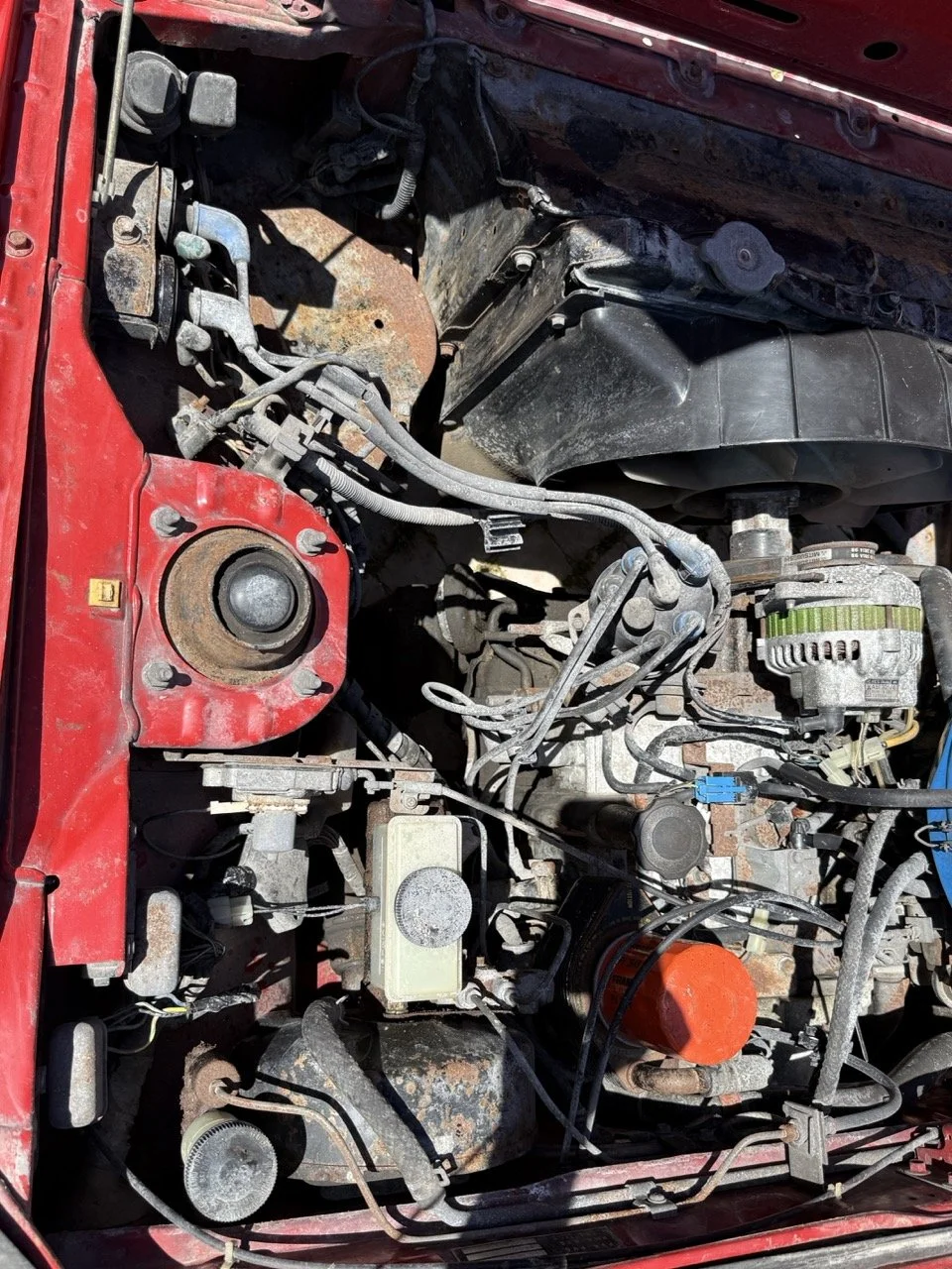 IMG_2051 – grande.jpeg