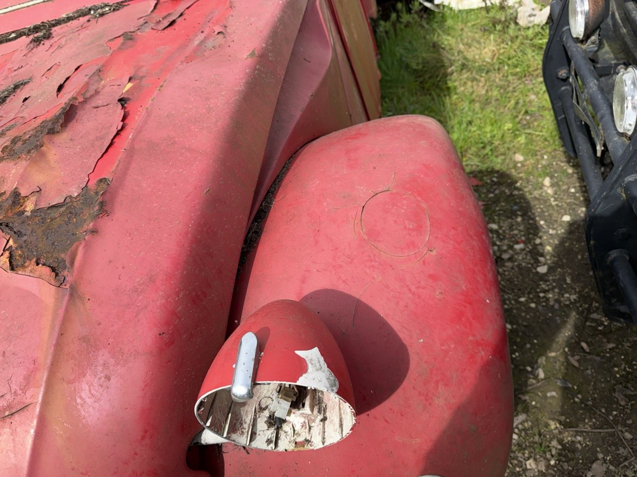 IMG_3874 – grande.jpeg