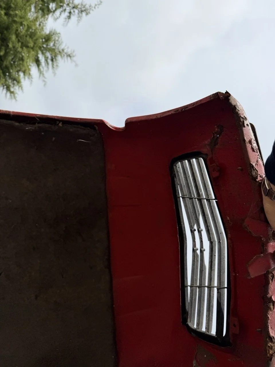 IMG_3872 – grande.jpeg