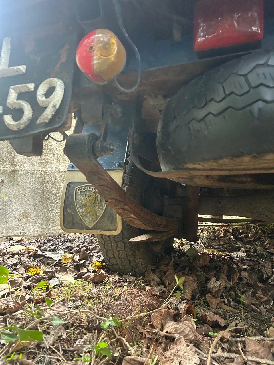 20e558c1-dae2-4ab7-b9cd-8b2867e12ea2 – grande.jpeg