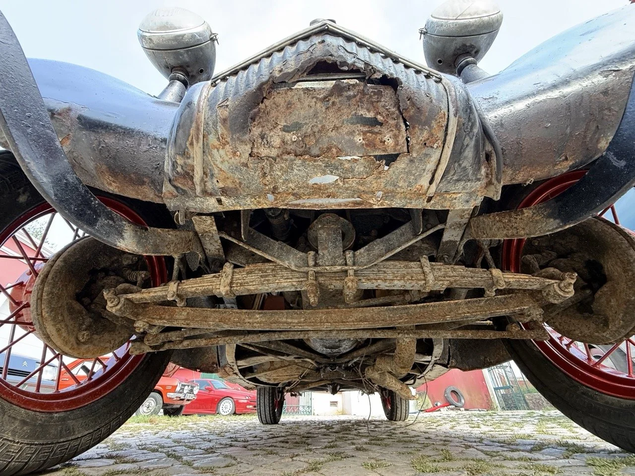 IMG_3747 – grande.jpeg