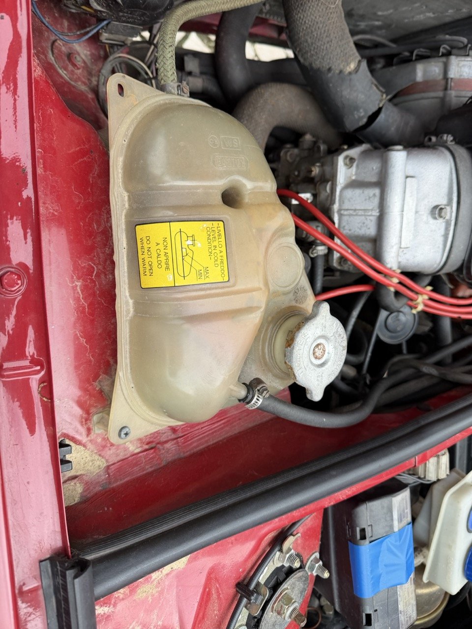 IMG_3489 – grande.jpeg