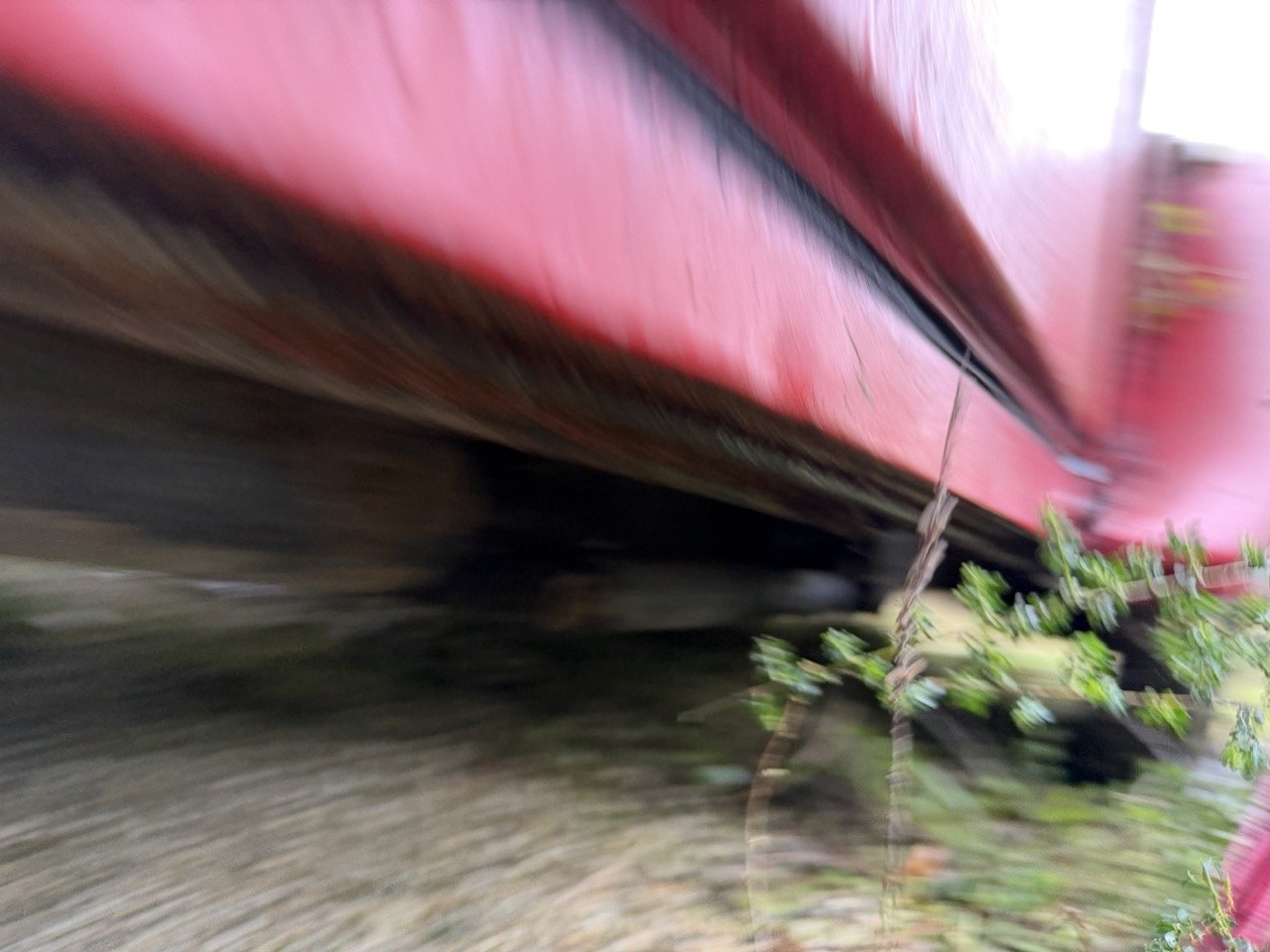 IMG_5517 – grande.jpeg