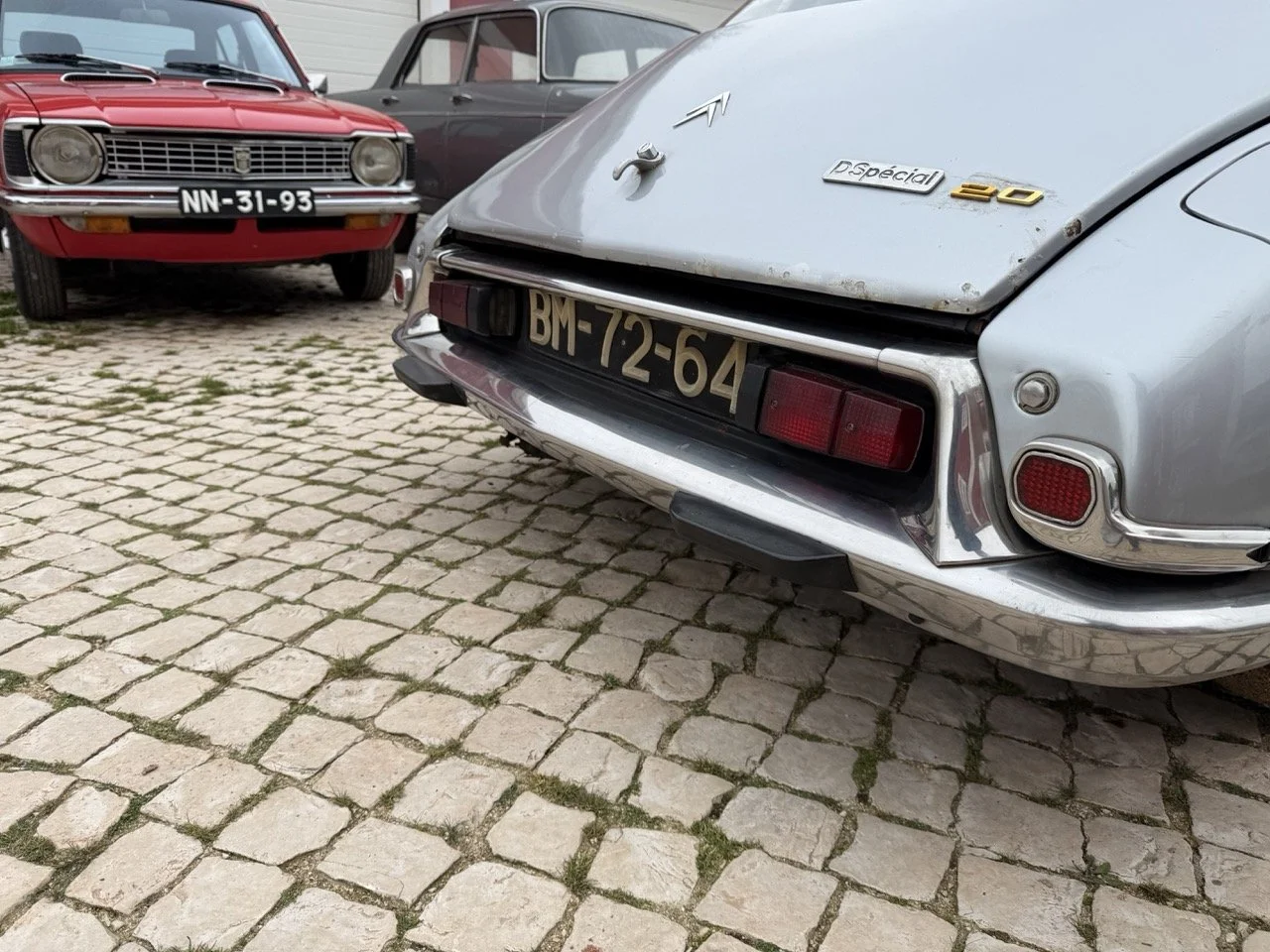 IMG_3763 – grande.jpeg