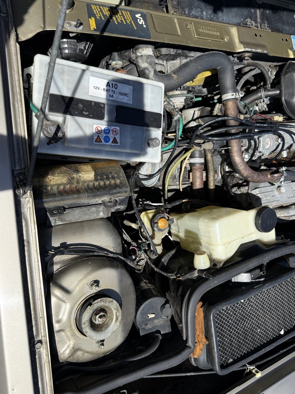 IMG_1948 – grande.jpeg