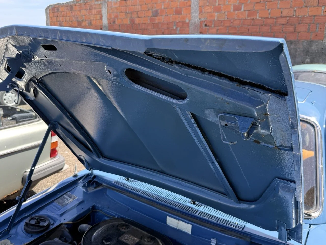 IMG_0792 – grande.jpeg