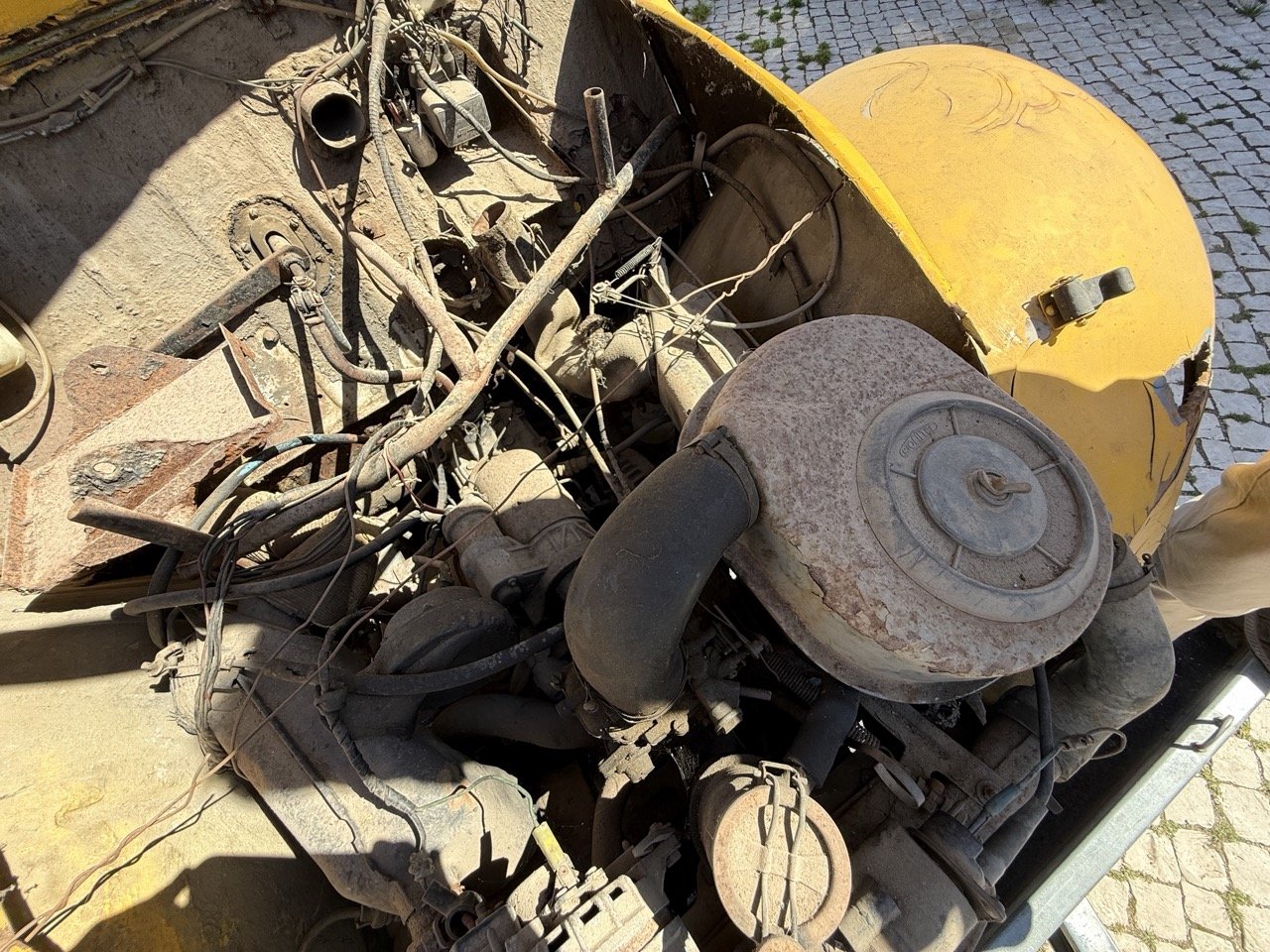 IMG_9149 – grande.jpeg