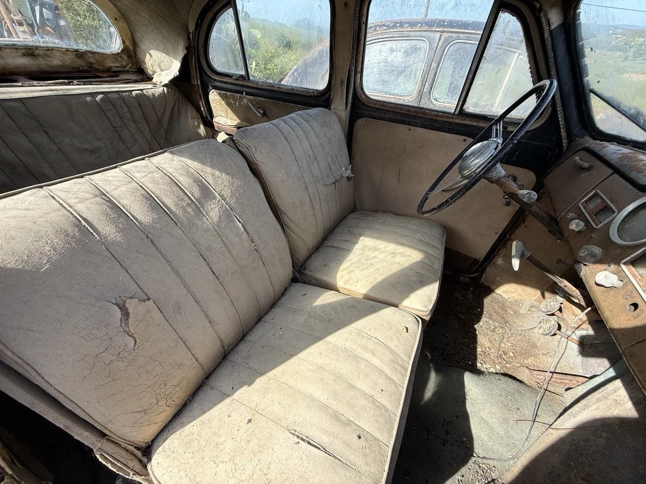 IMG_0460 – grande.jpeg