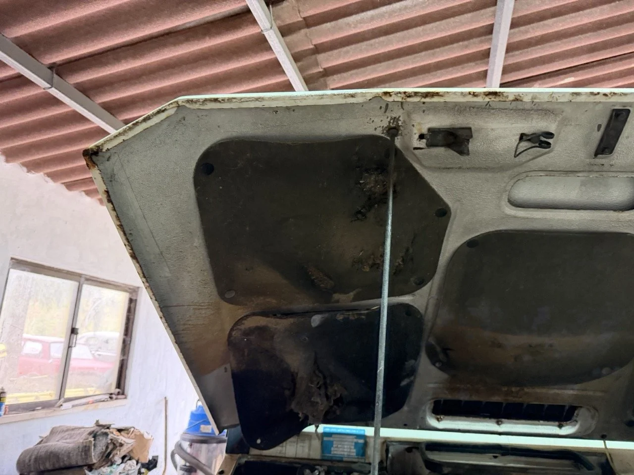 IMG_5208 – grande.jpeg