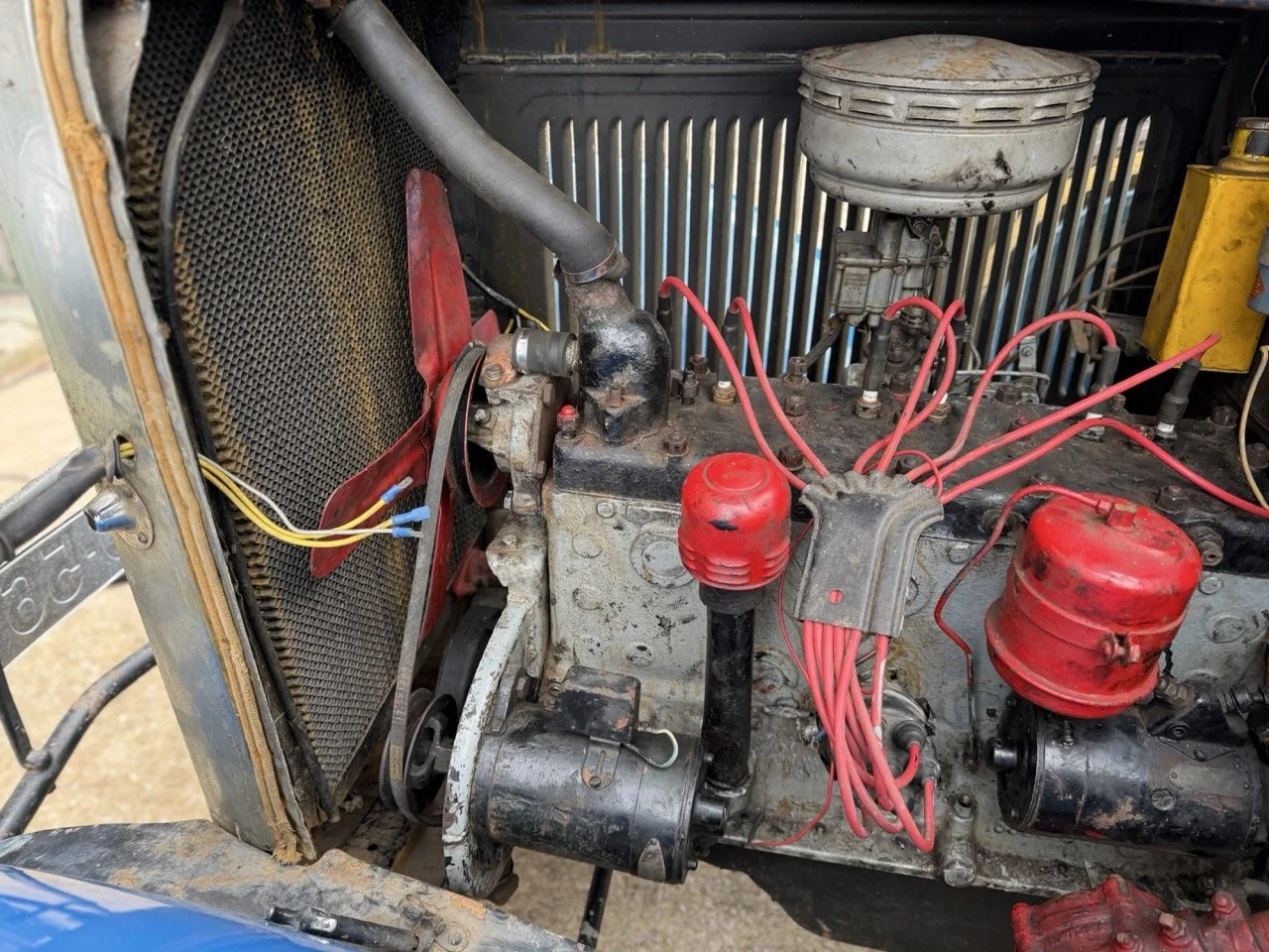 IMG_1545 – grande.jpeg