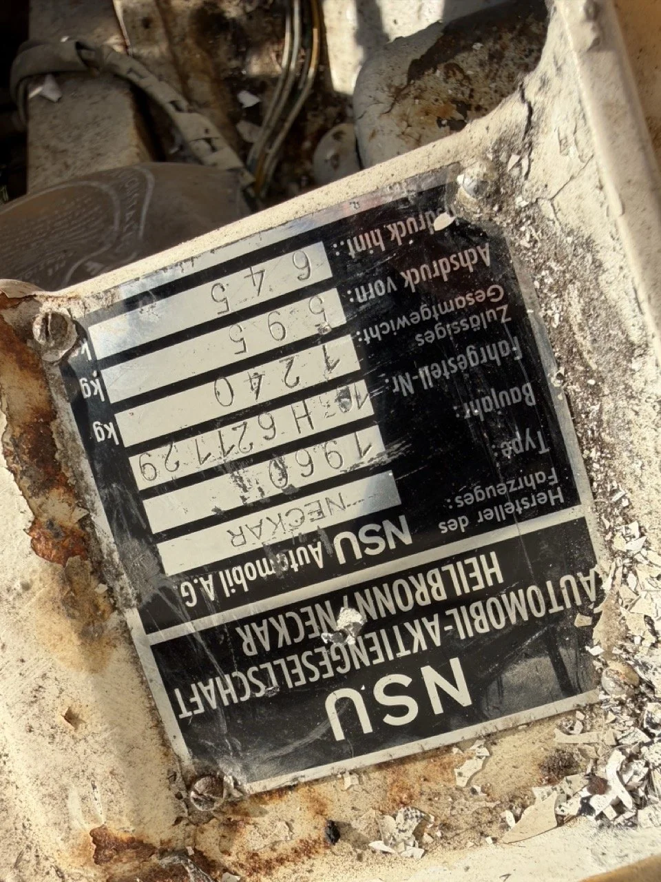 IMG_2547 – grande.jpeg