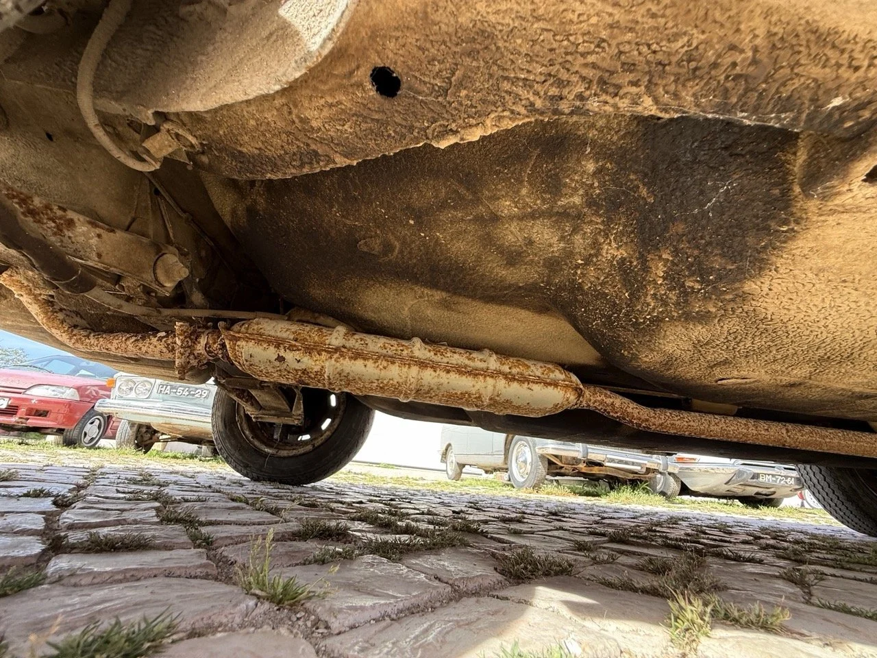 IMG_2366 – grande.jpeg