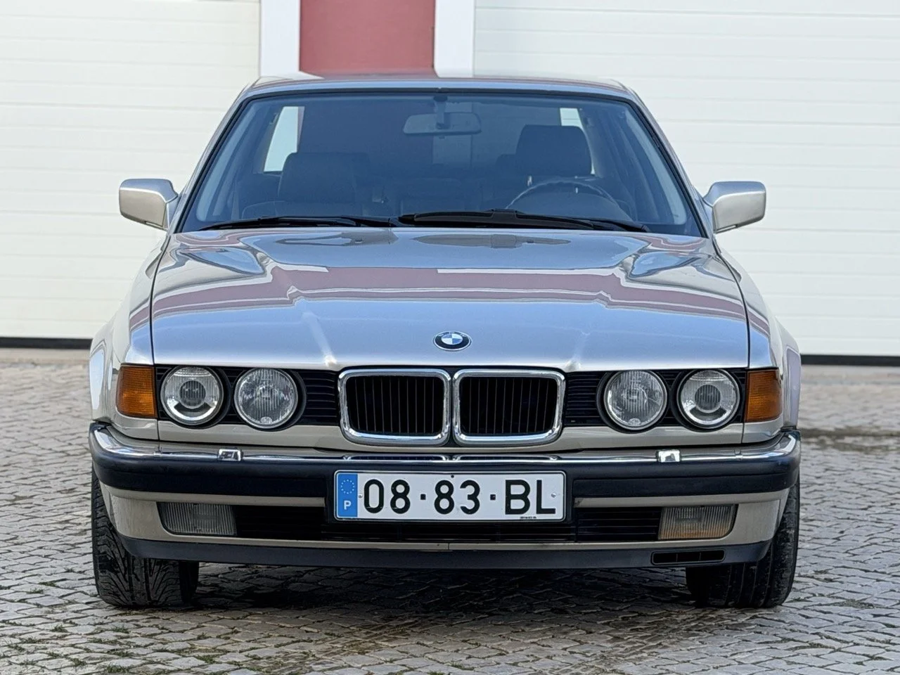 IMG_6870 – grande.jpeg