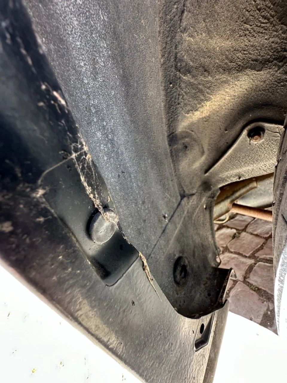 IMG_3127 – grande.jpeg