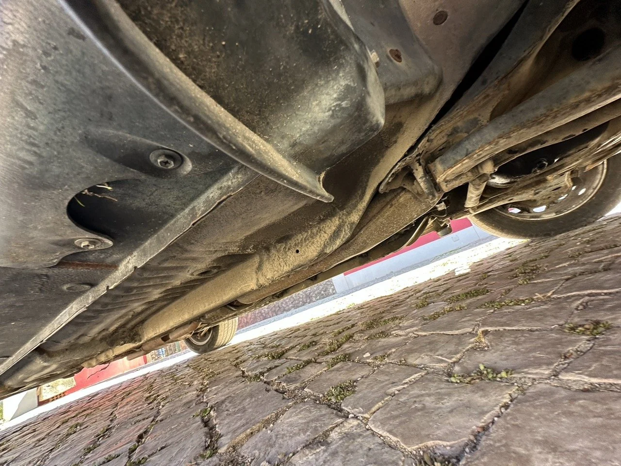 IMG_3138 – grande.jpeg