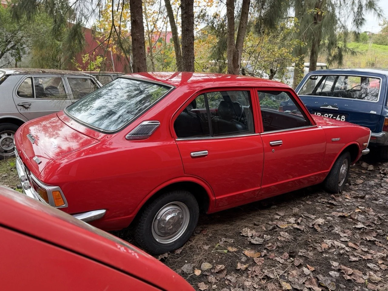 IMG_4934 – grande.jpeg