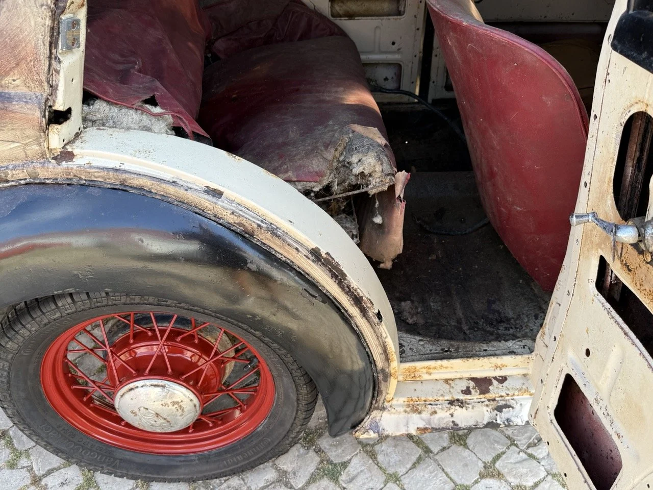 IMG_3725 – grande.jpeg