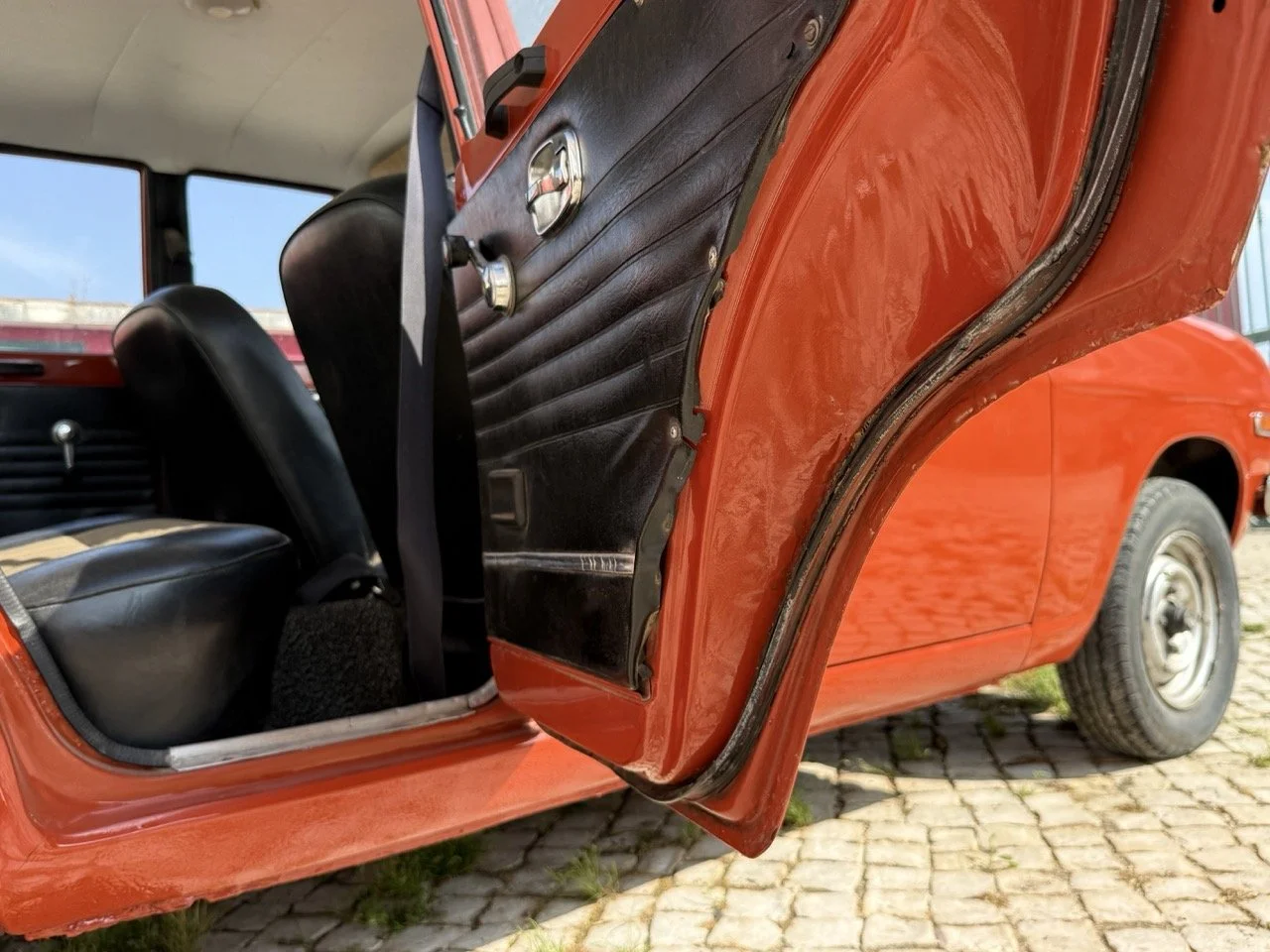 IMG_3651 – grande.jpeg