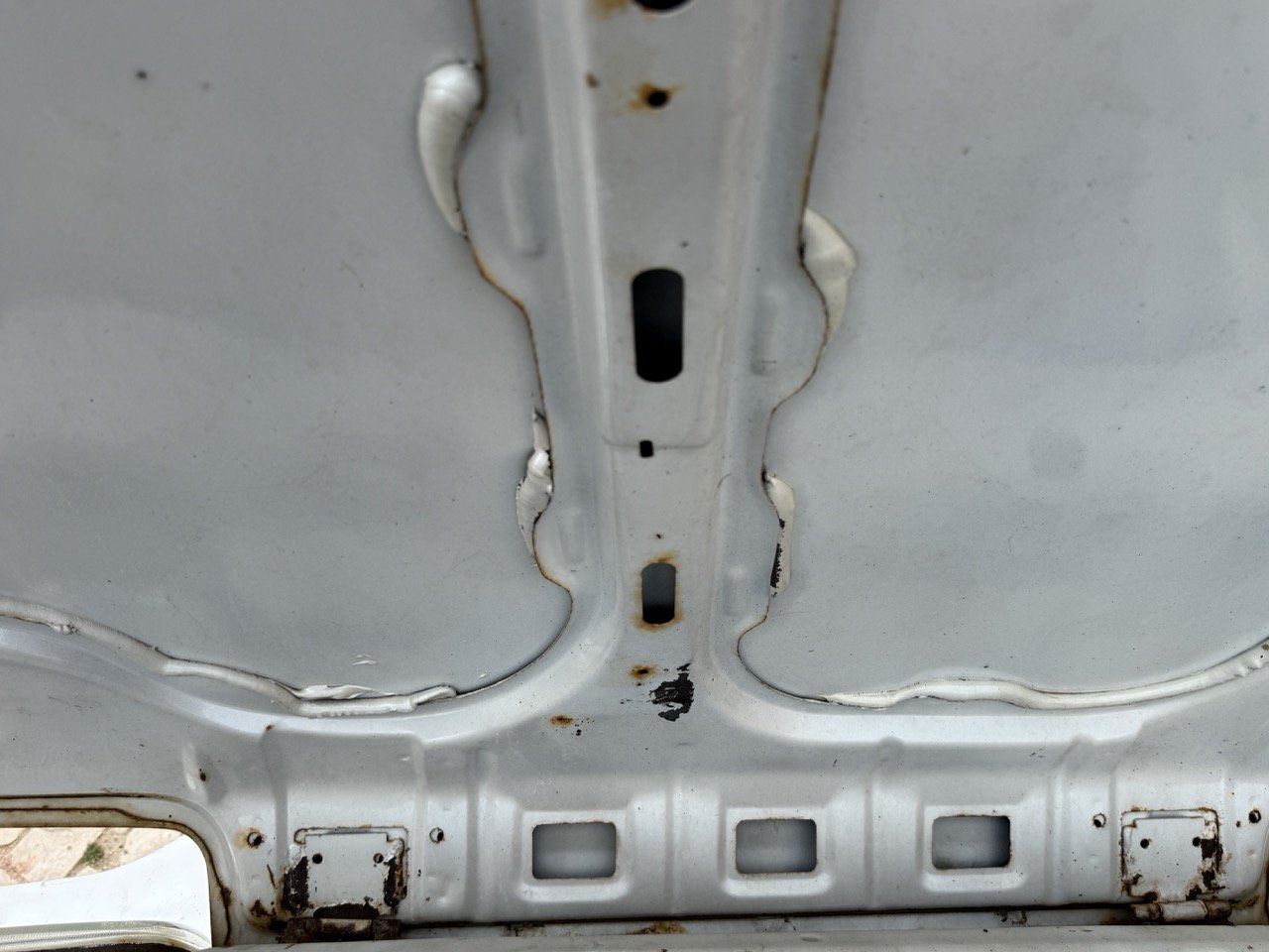 IMG_8562 – grande.jpeg