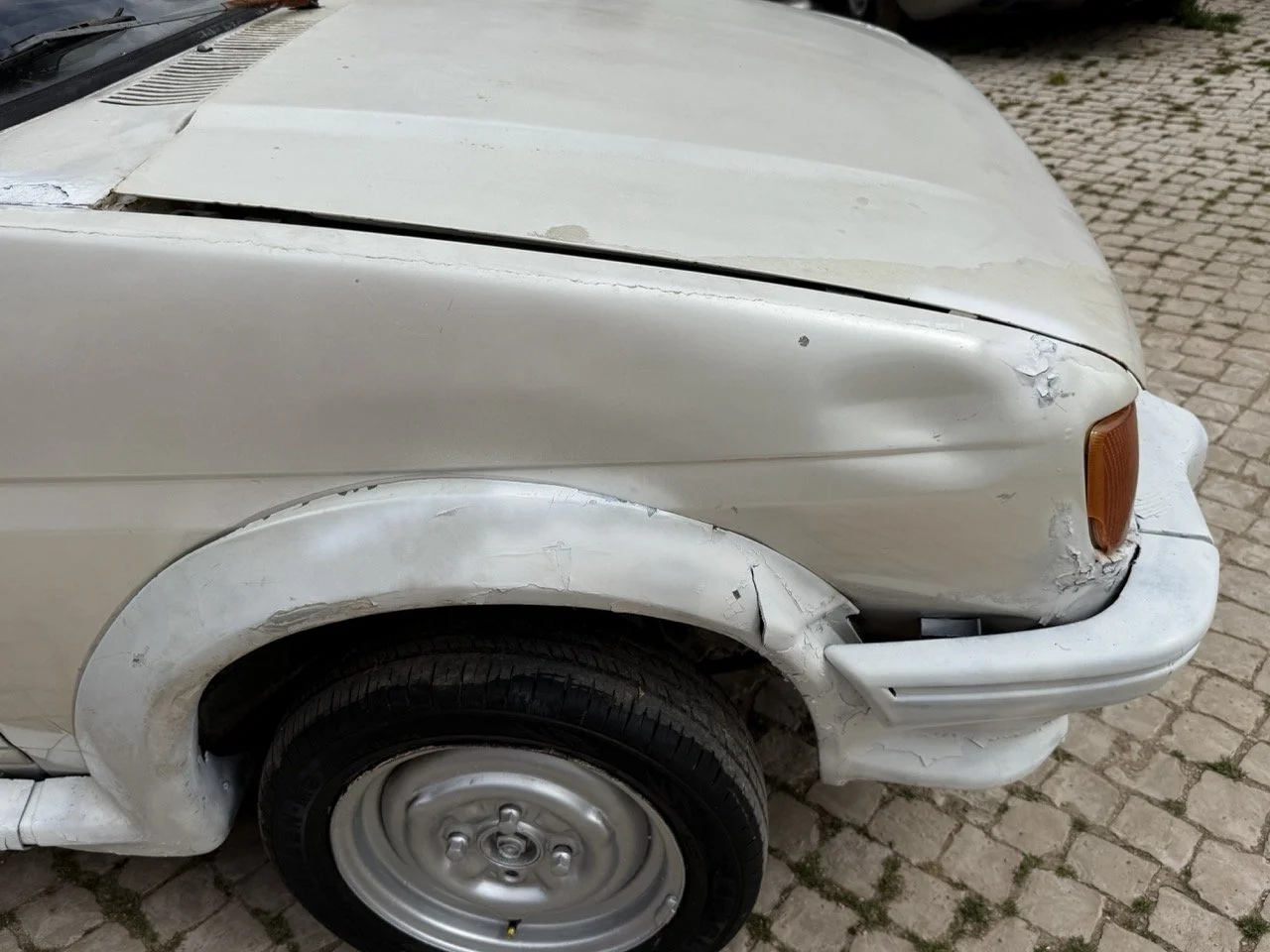 IMG_8606 – grande.jpeg