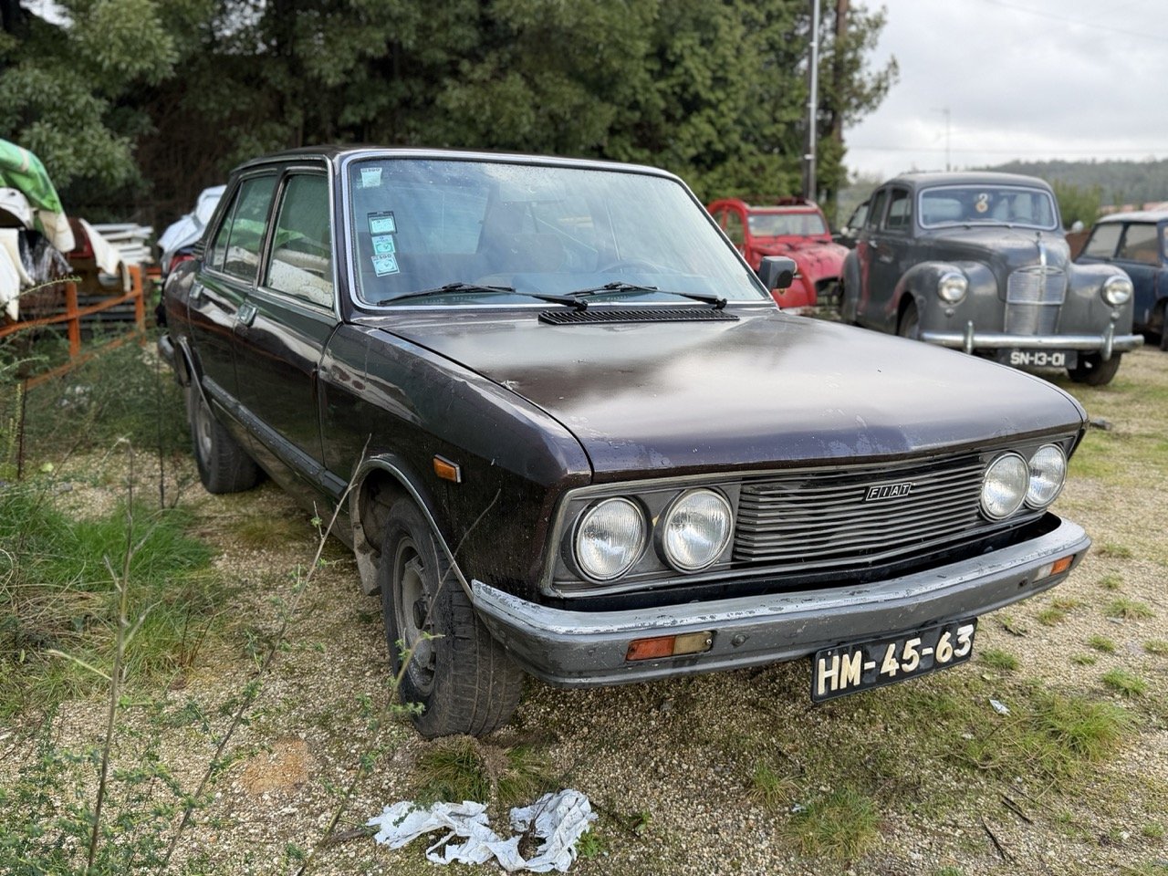 IMG_5242 – grande.jpeg