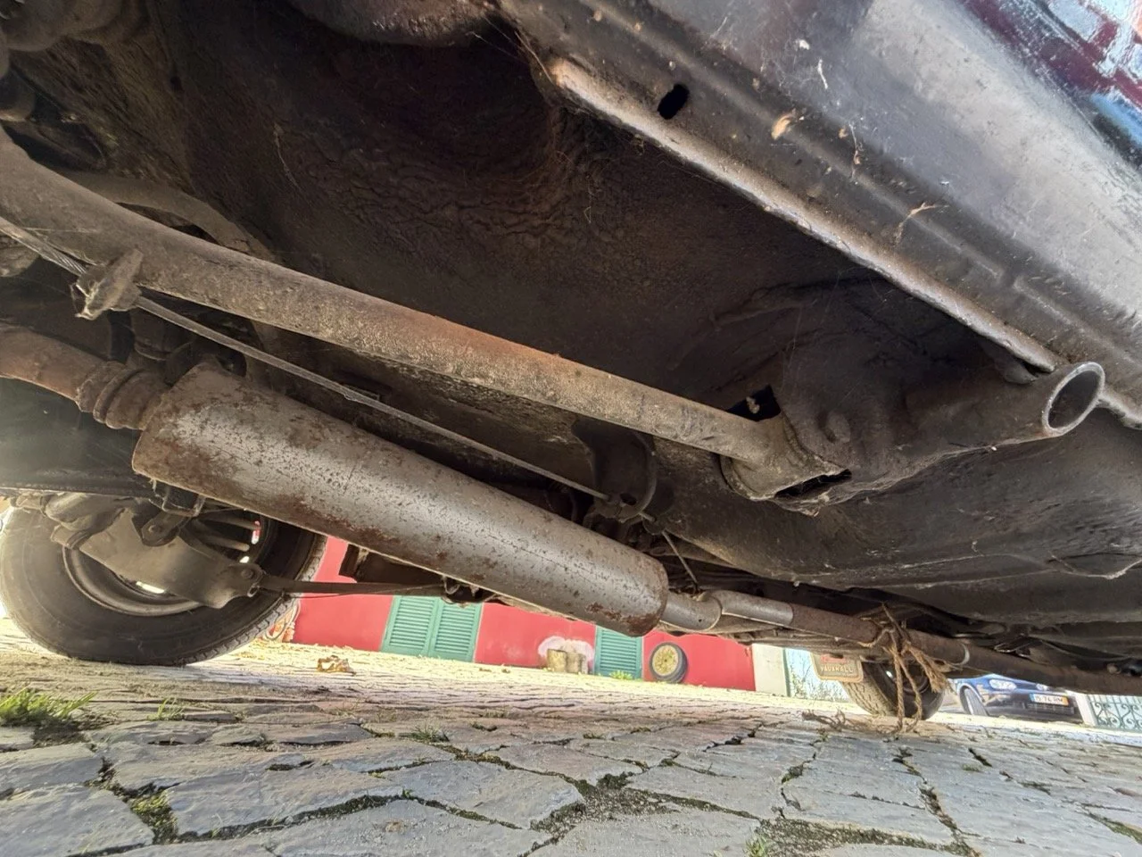 IMG_2458 – grande.jpeg