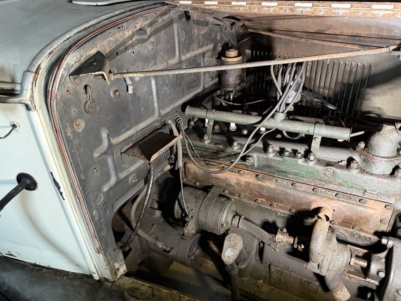 IMG_2446 – grande.jpeg