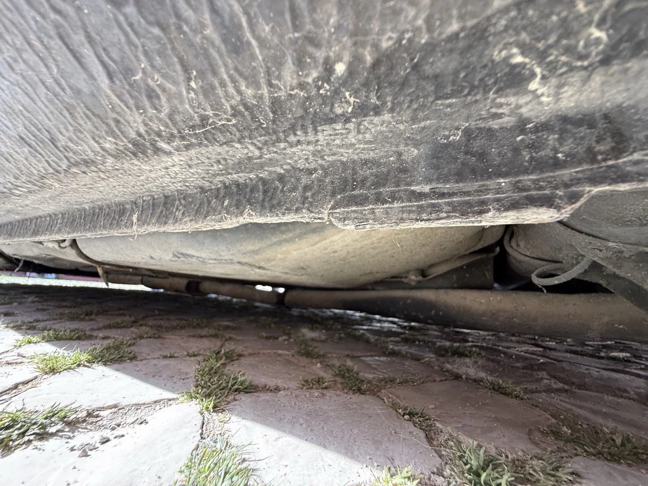 IMG_2622 – grande.jpeg