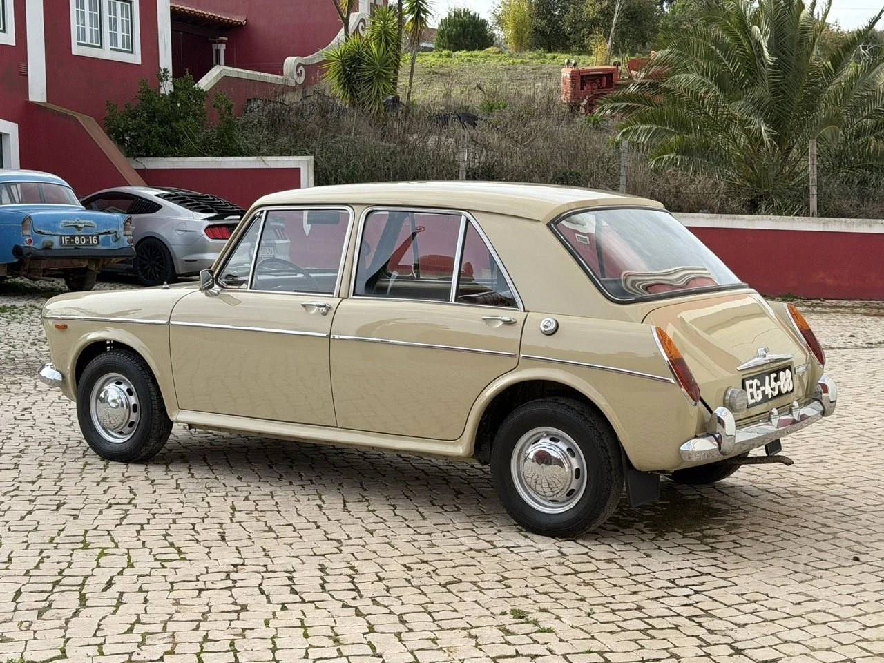 IMG_4013 – grande.jpeg