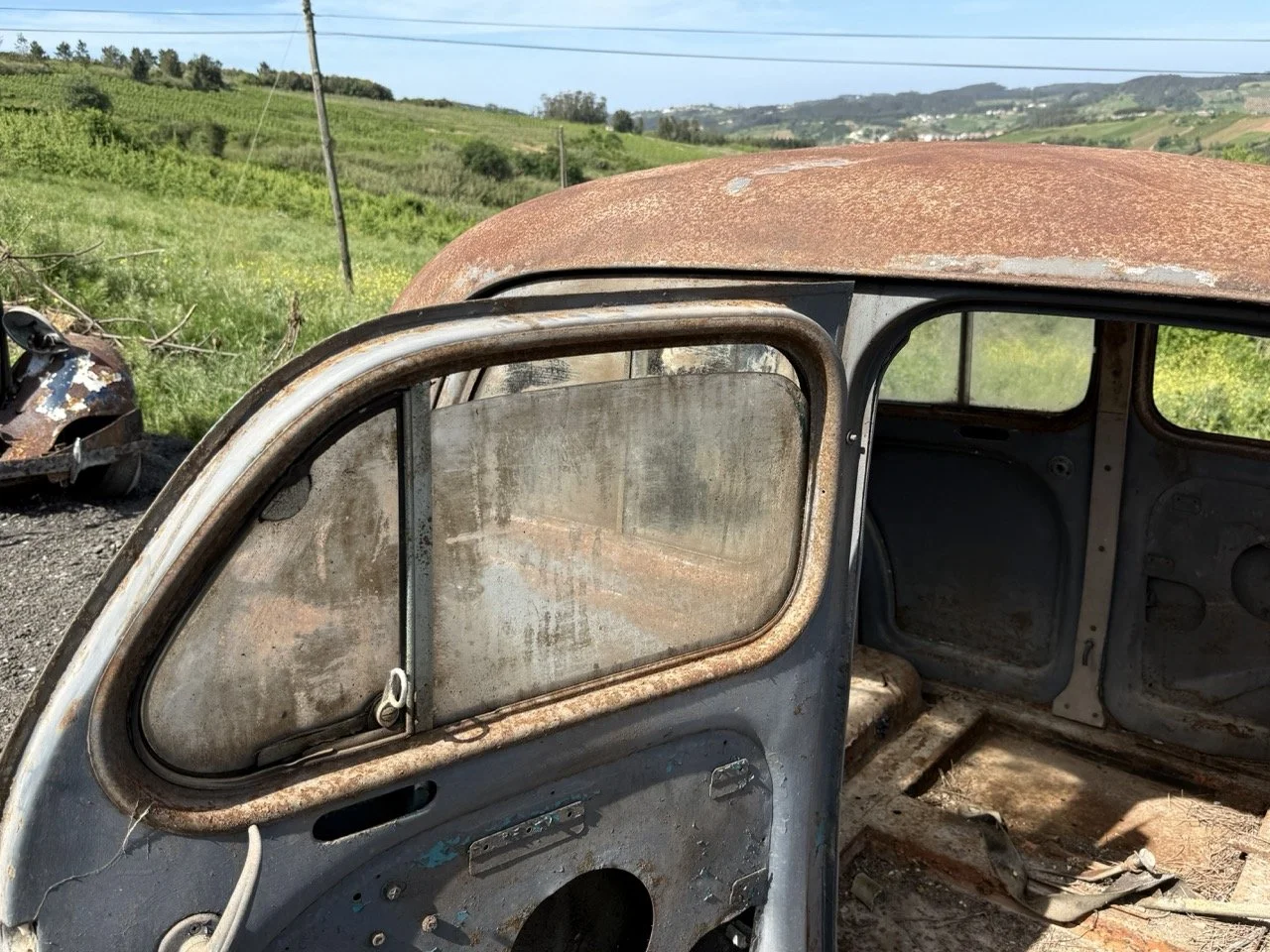 IMG_0279 – grande.jpeg