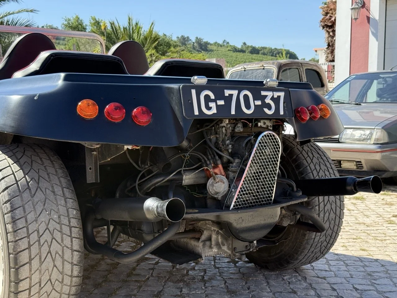 IMG_5943 – grande.jpeg