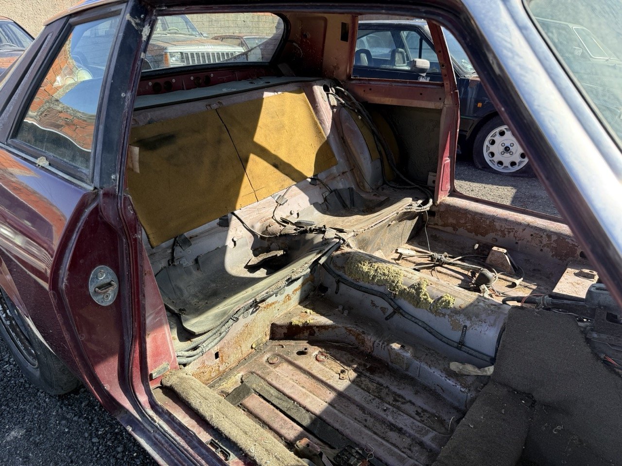 IMG_2981 – grande.jpeg