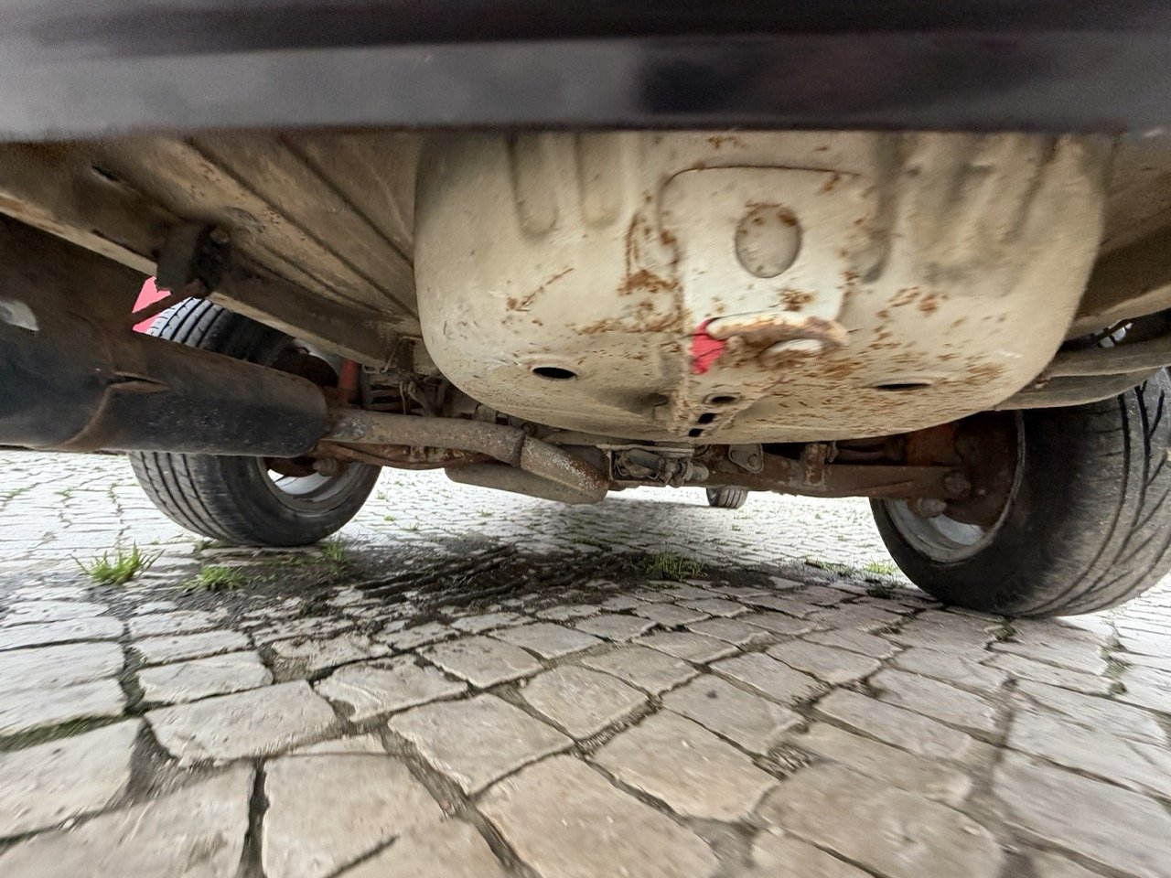 IMG_1329 – grande.jpeg