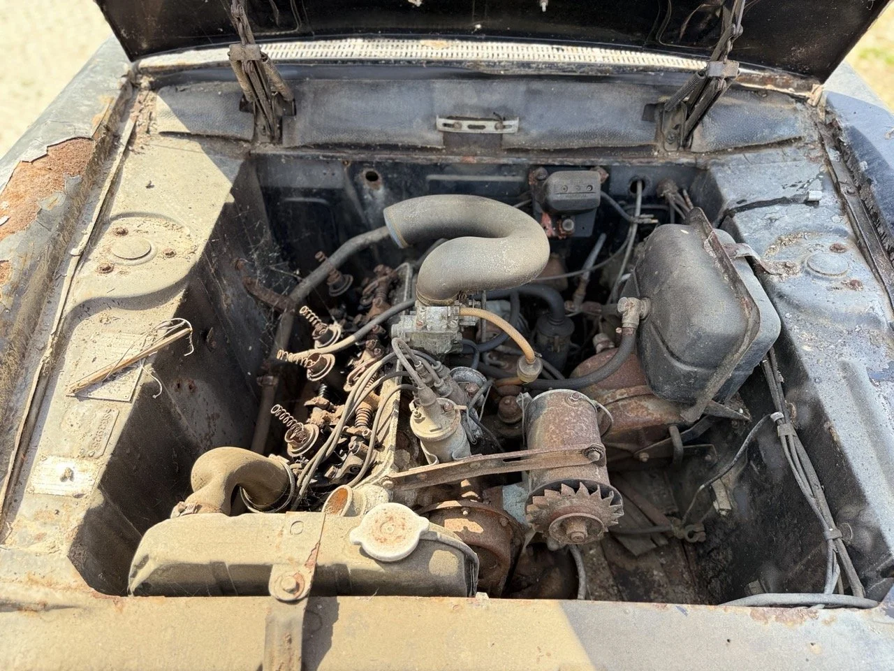 IMG_3488 – grande.jpeg