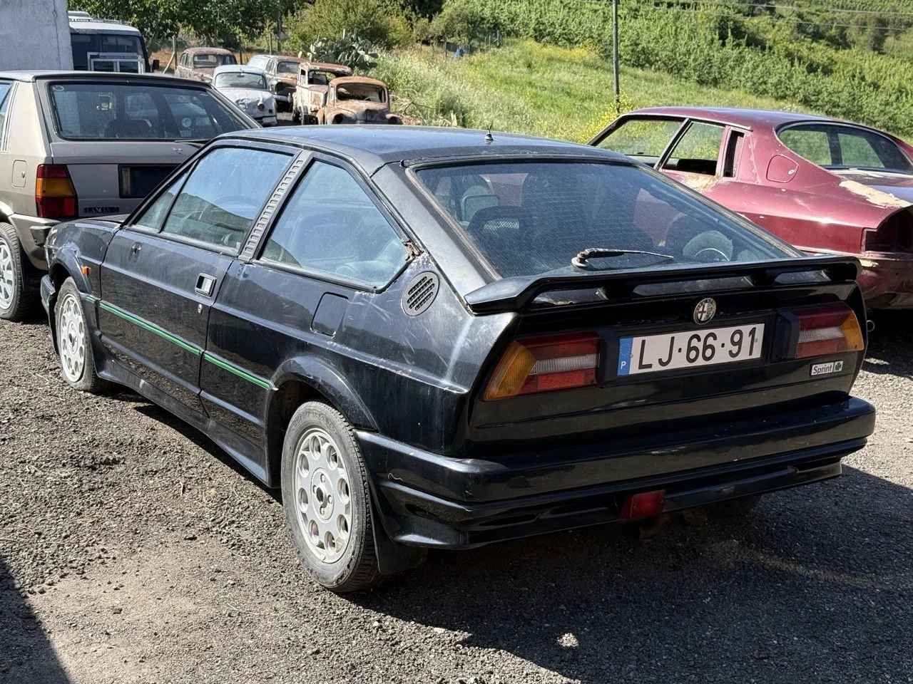 IMG_2890 – grande.jpeg