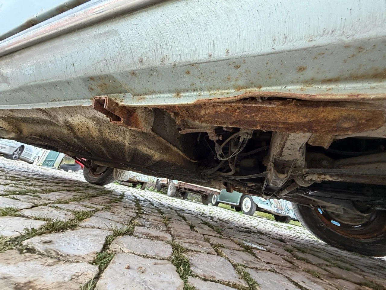 IMG_4870 – grande.jpeg