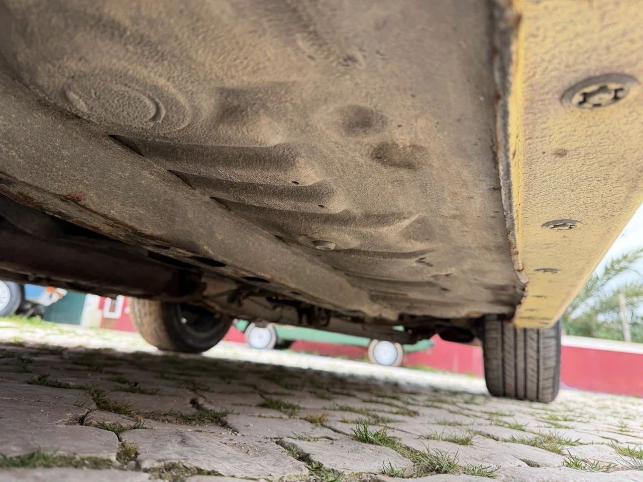 IMG_9800 – grande.jpeg