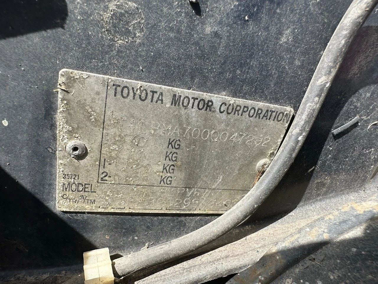 IMG_7215 – grande.jpeg