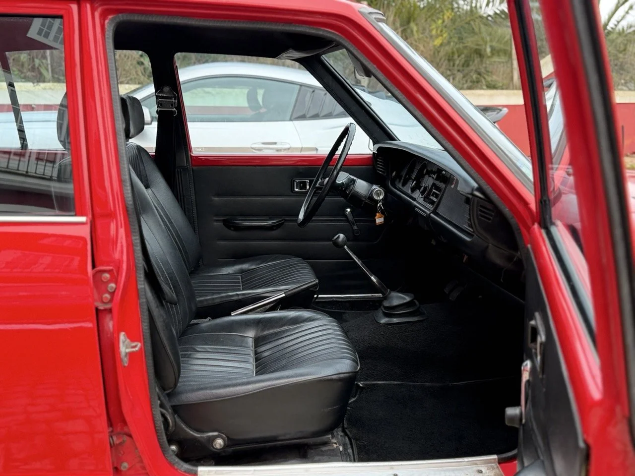 IMG_8230 – grande.jpeg