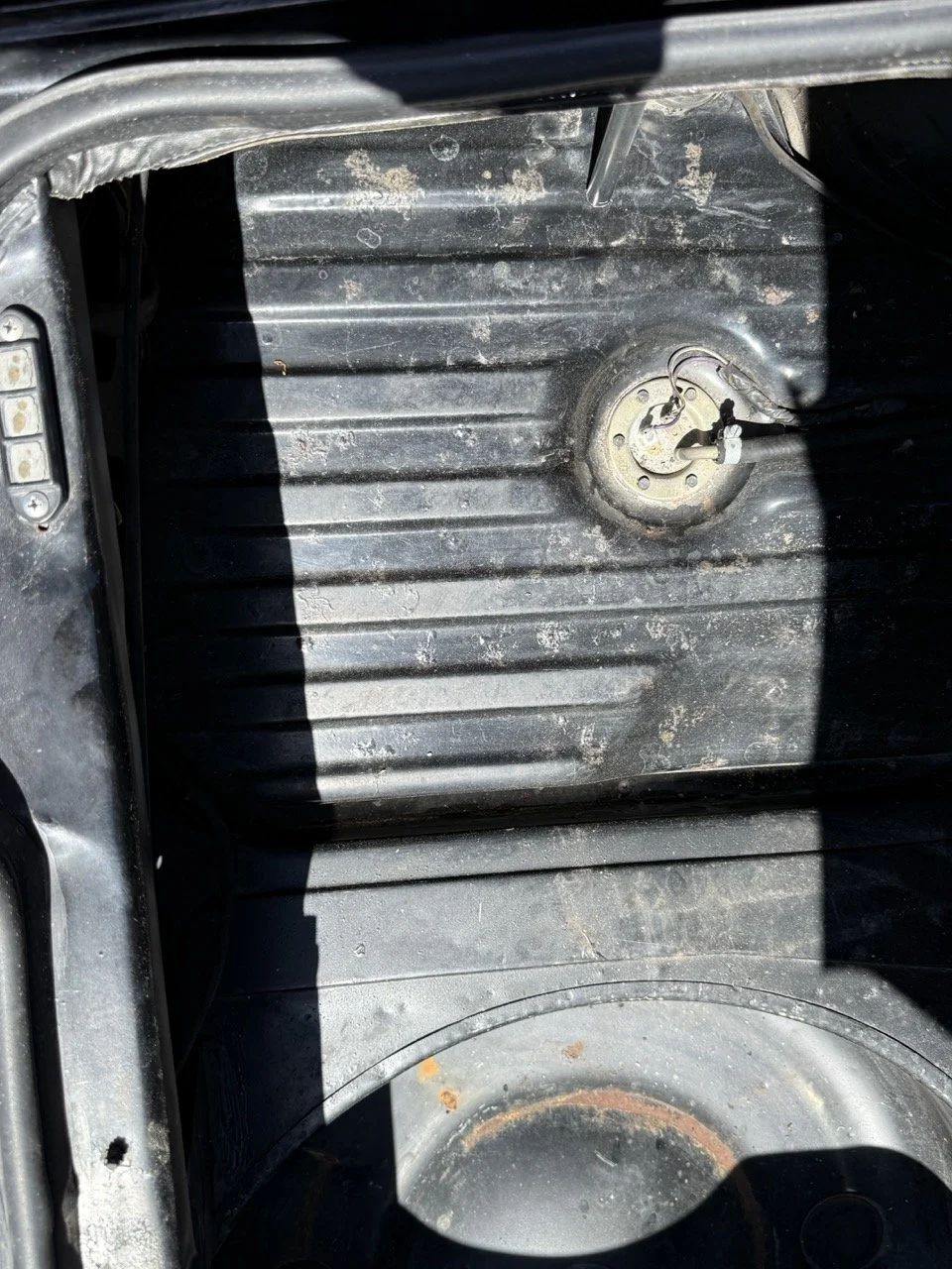 IMG_2215 – grande.jpeg