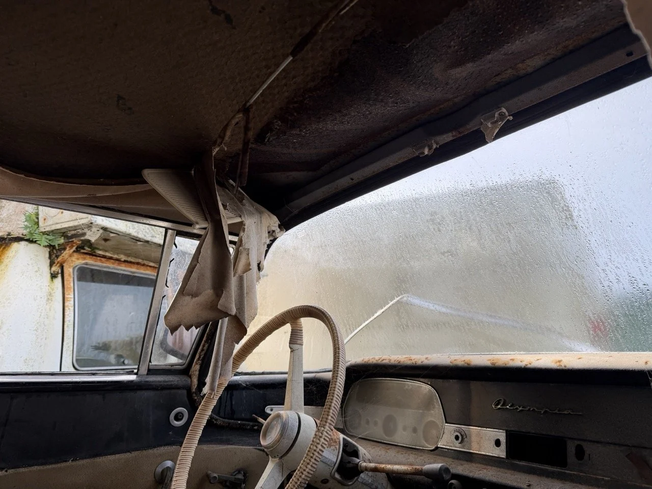 IMG_5059 – grande.jpeg