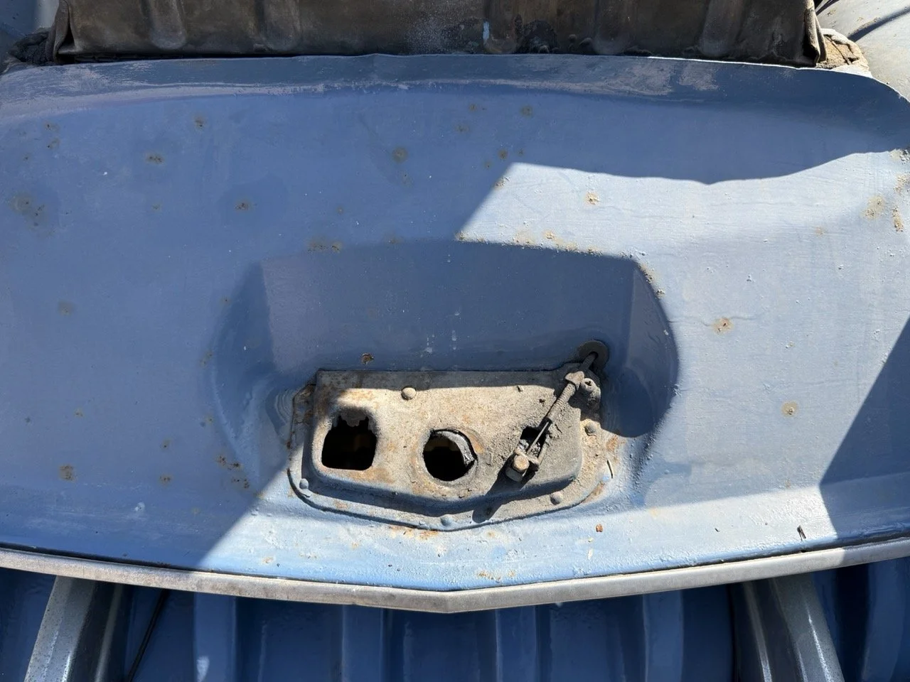 IMG_3526 – grande.jpeg